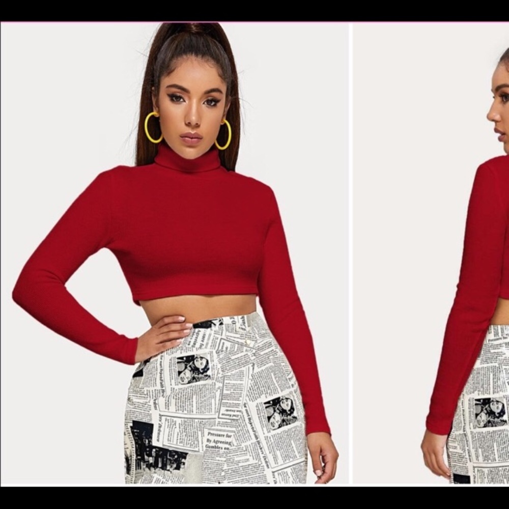 Turtle Neck Slim Crop Sweater